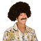 Beistle Club Pack of 12 Fashionable Celebrate Good Times 70's Disco Theme Black Curly Wig